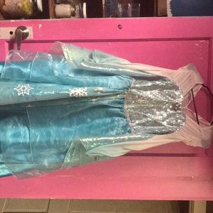 Elsa Costume! Excellent Condition!!